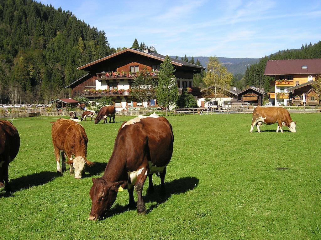 Winklhuette Villa Forstau  Exteriör bild